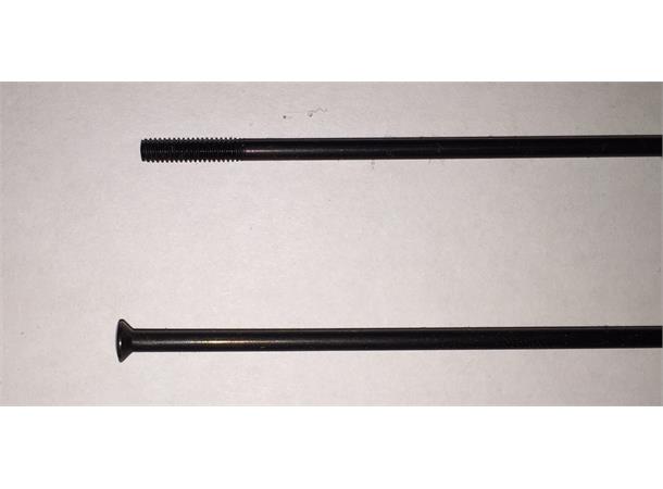DT Swiss Eike Champ SP S 289mm Straight Pull (P-SL1-11spd)